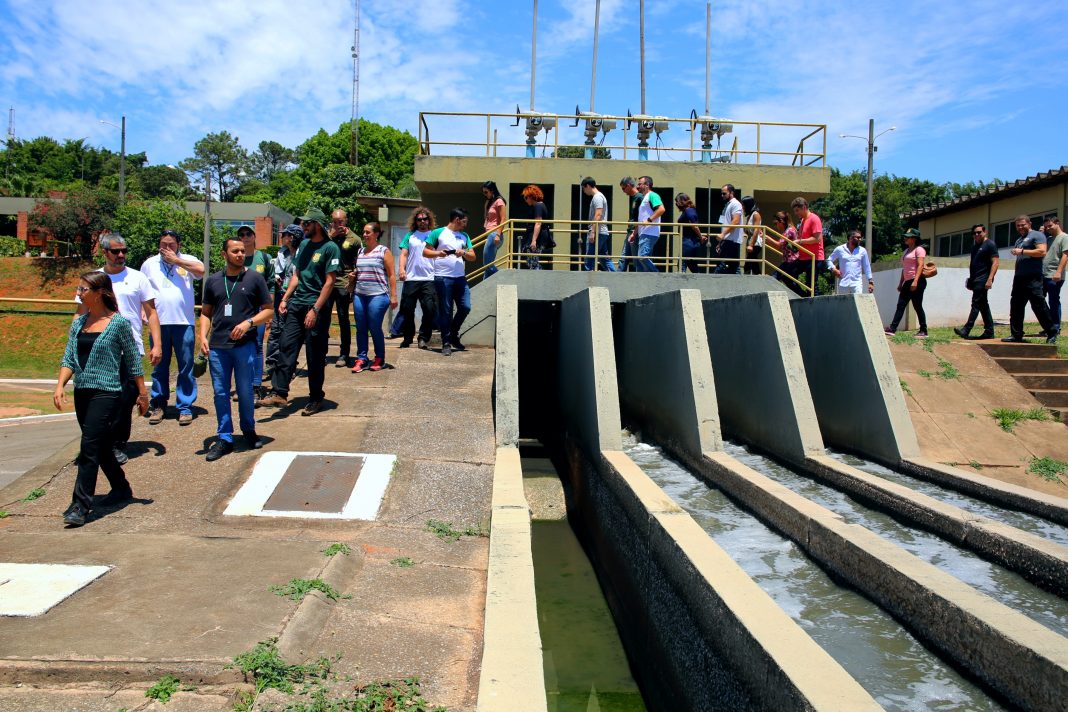 canais verdes meio ambiente