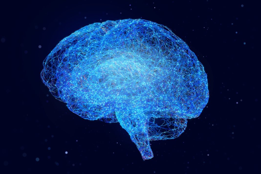 memorias:-como-o-cerebro-escolhe-lembrancas-para-guardar-ou-apagar