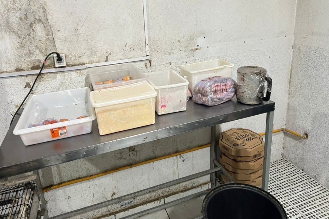 pizzaria-interditada-por-usar-comida-podre-vendia-250-unidades-por-dia.-veja-video