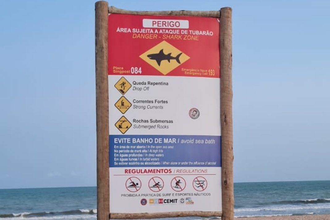 saiba-qual-e-a-“praia-proibida”-onde-adolescente-foi-morto-por-tubarao-em-pe