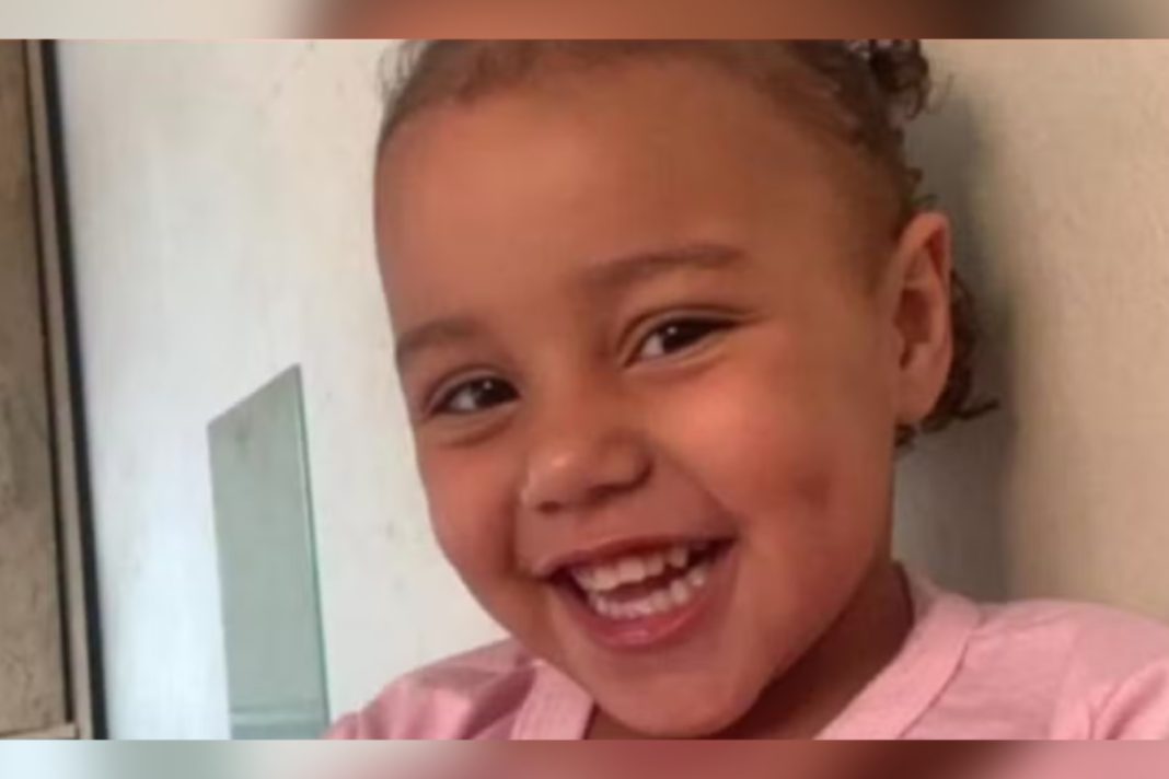 menina-autista-de-3-anos-desaparece-em-mg-e-forca-tarefa-e-formada