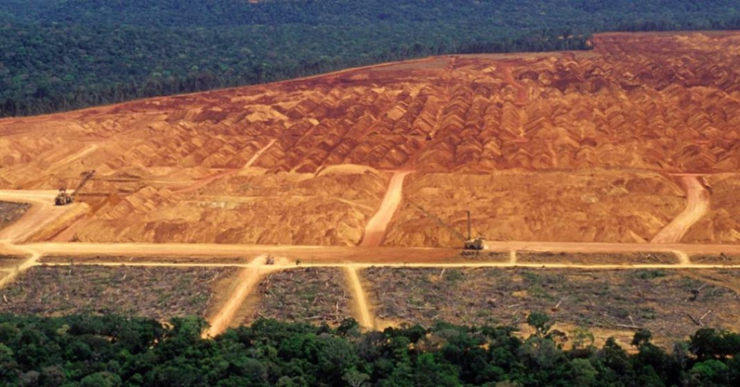 para-ser-net-zero-ate-2050,-brasil-precisa-de-mais-rigor-no-controle-do-desmatamento-e-degradacao-de-biomas