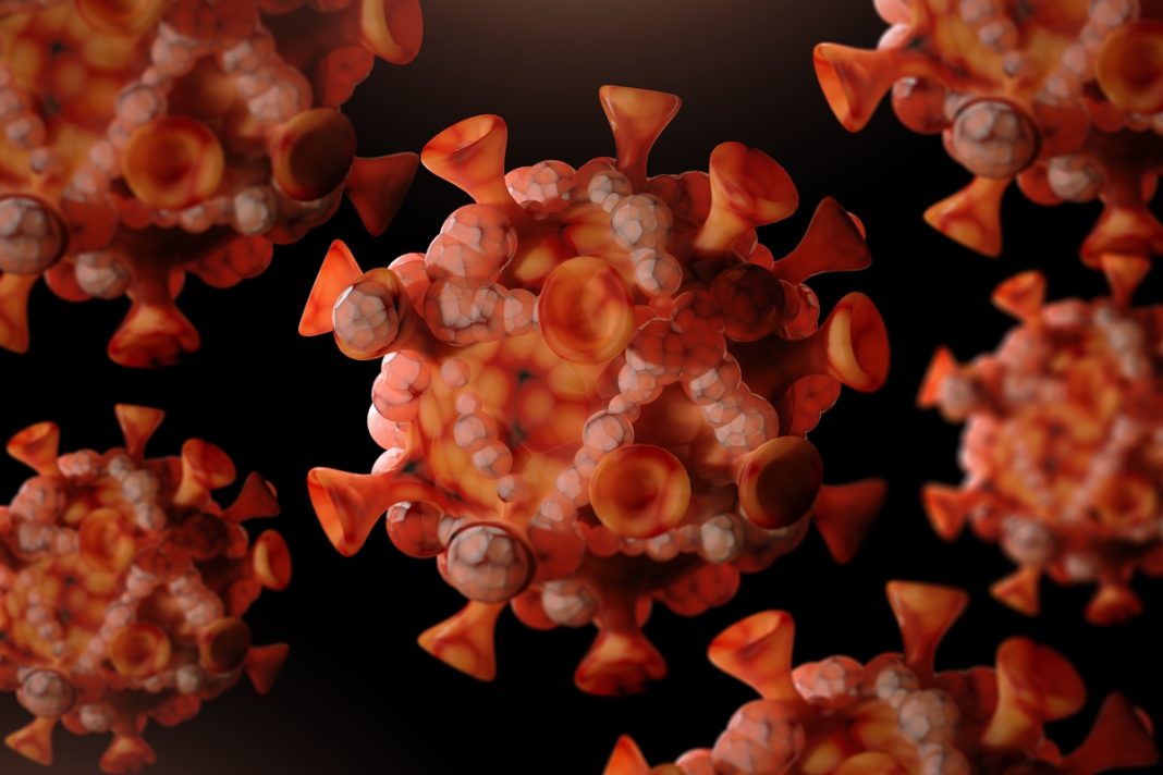 ministerio-da-saude-confirma-81-casos-de-mpox-no-brasil-em-2026