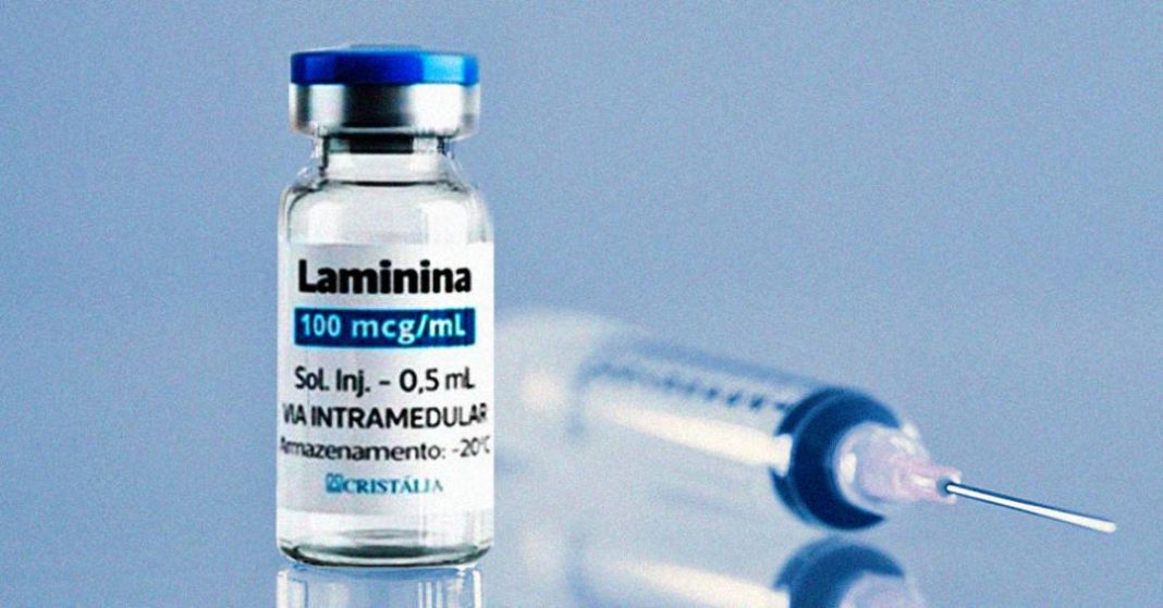 entidades-cientificas-pedem-cautela-sobre-polilaminina