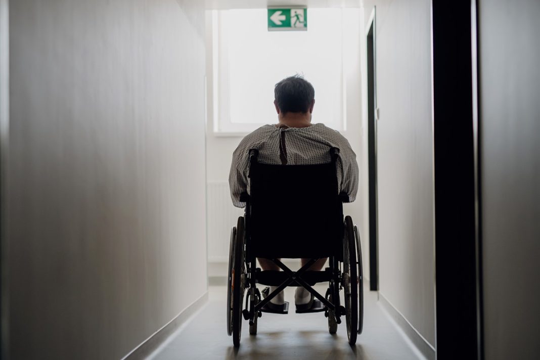cientista-que-quer-curar-paraplegia-e-homenageada-em-projeto-de-lei-sobre-pesquisas