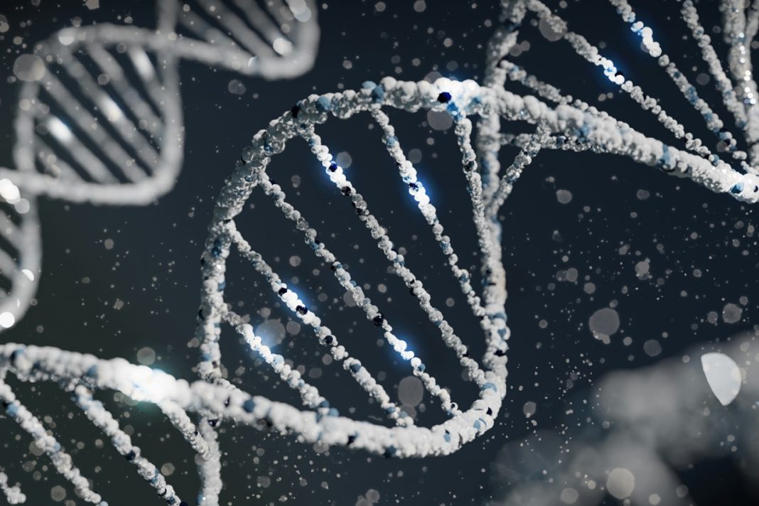 gene-egoista-pode-ter-feito-familia-dos-eua-ter-o-dobro-de-homens