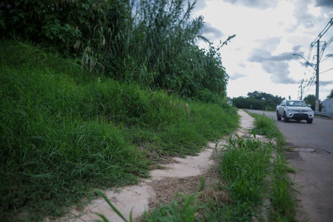 com-mato-alto-na-vizinhanca,-cobras-invadem-casas-em-area-nobre-do-df:-“assustador”.-veja-video