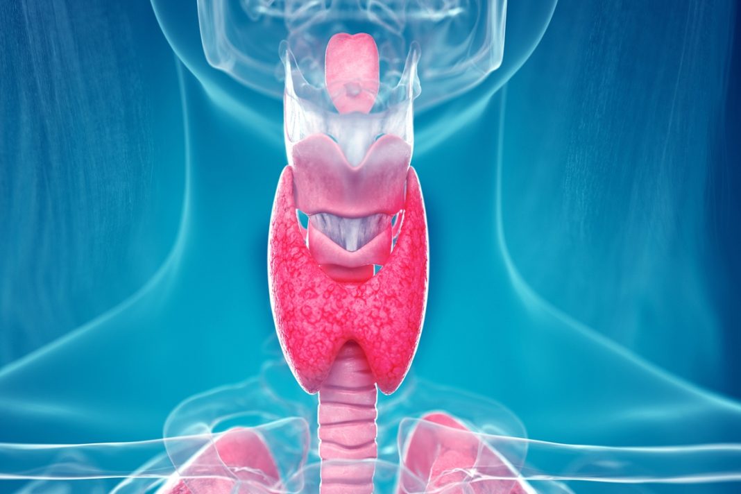 endocrinologista-lista-principais-sintomas-de-problemas-na-tireoide