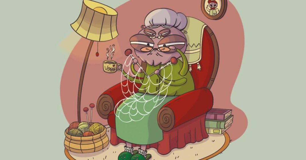 como-as-aranhas-sabem-o-padrao-de-teia-que-devem-fazer?