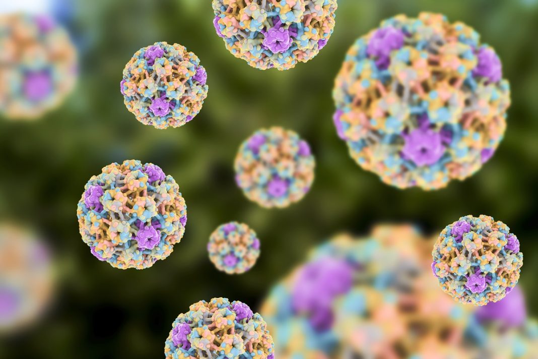 hpv:-80%-das-pessoas-terao-contato-com-o-virus.-saiba-como-prevenir
