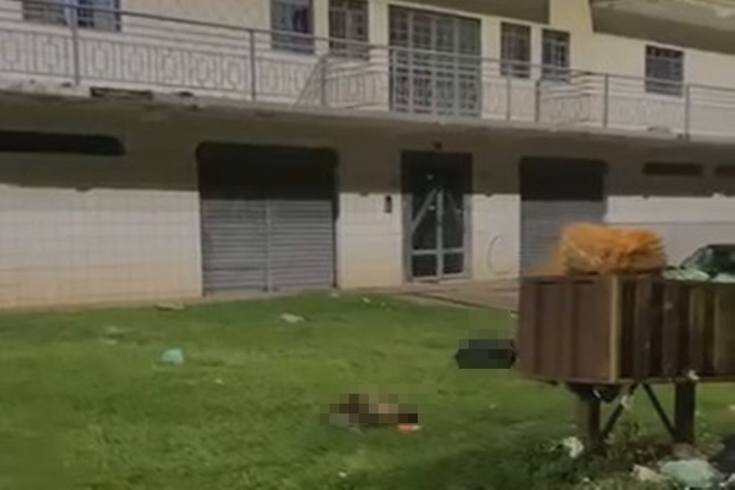 animais-decapitados-e-mutilados-sao-bode-e-cabra,-confirma-pcdf