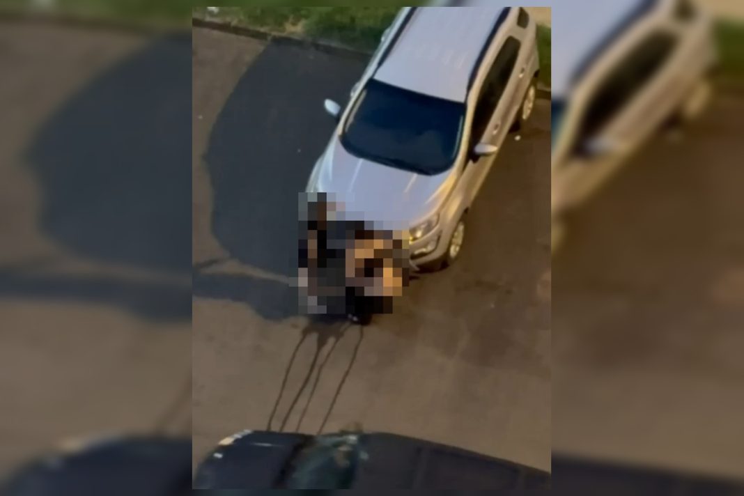 briga,-sexo-e-xixi-na-rua:-moradores-denunciam-caos-em-aguas-claras.-veja-video