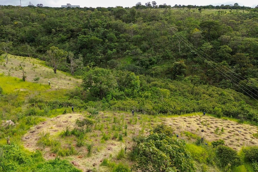 gdf-autoriza-criacao-de-parque-distrital-em-area-da-serrinha-do-paranoa