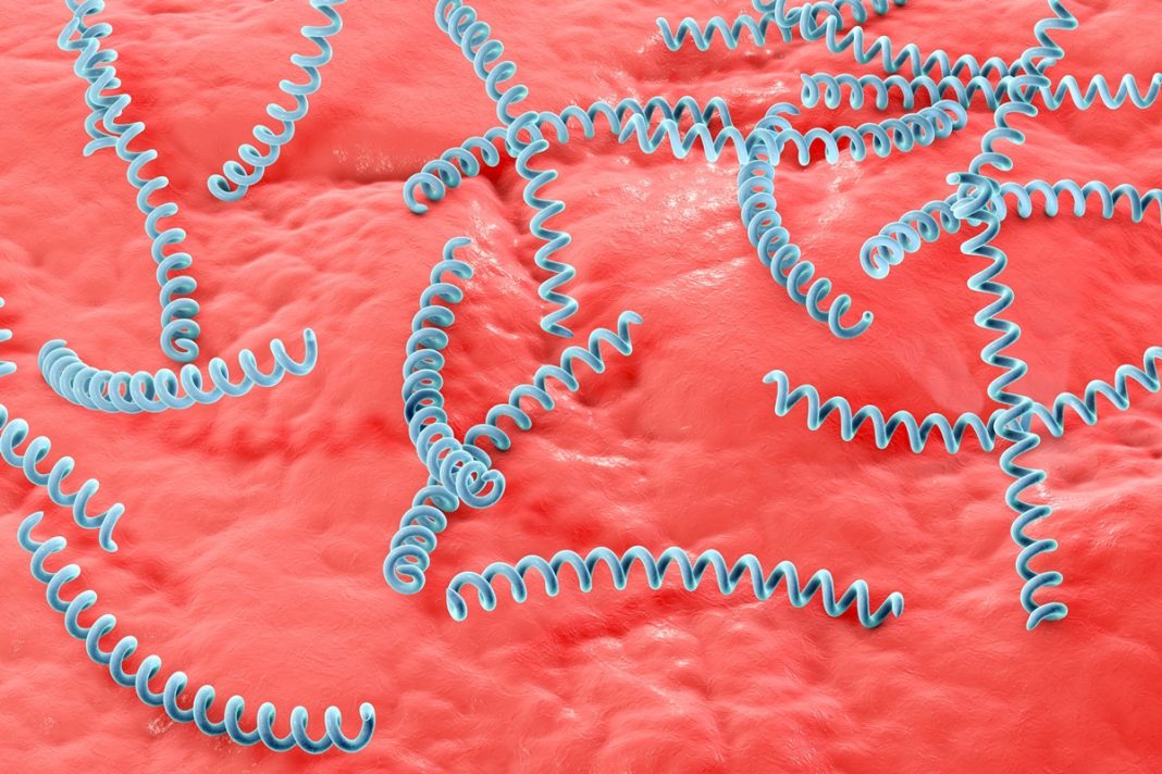 sifilis:-infectologista-lista-principais-sintomas-e-riscos-da-doenca