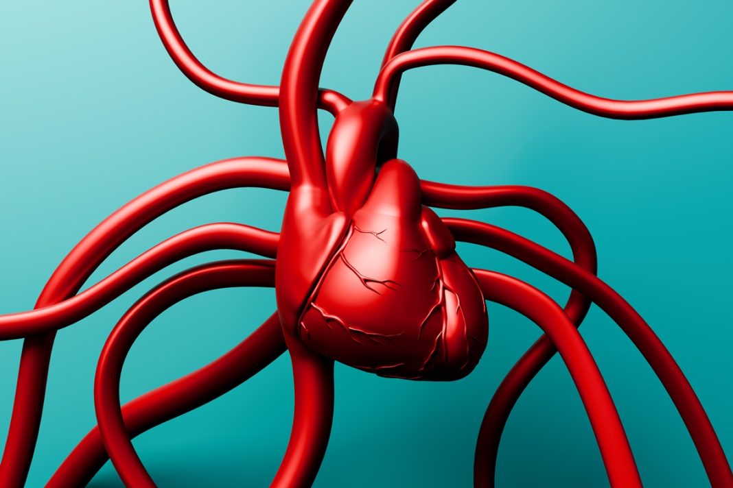 cardiologistas-orientam-cuidados-com-o-coracao-em-cada-fase-da-vida