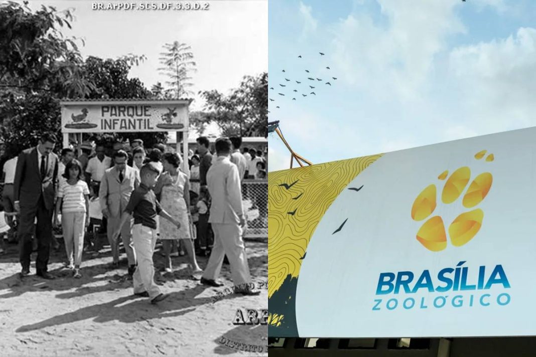 aniversario-de-brasilia:-zoologico-nasceu-antes-mesmo-da-capital