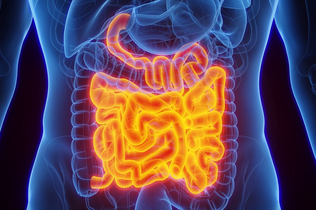 confira-os-5-principais-sinais-de-que-o-intestino-pode-estar-inflamado
