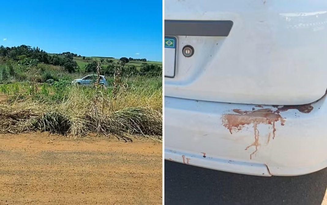 homem-e-morto-a-facadas-por-amigos-durante-confraternizacao-em-go