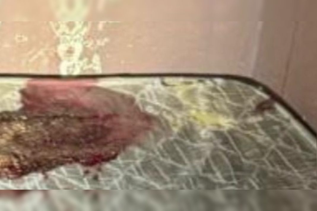 tiroteio-no-entorno-do-df:-dois-homens-morrem-e-um-e-baleado