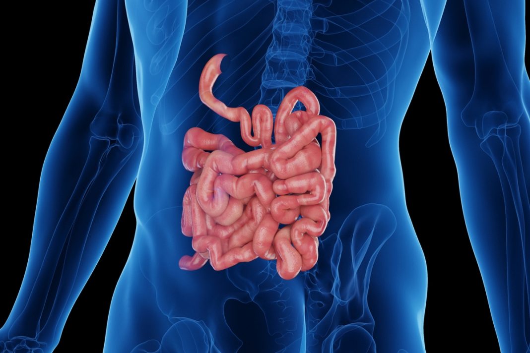 falta-de-foco-pode-estar-ligada-ao-funcionamento-do-intestino.-entenda