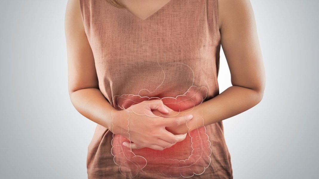 estudo:-estresse-e-comer-tarde-da-noite-podem-afetar-saude-intestinal