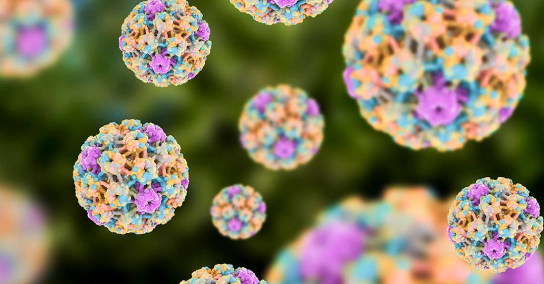 vacina-em-estudo-demonstra-eficacia-contra-celulas-tumorais-ligadas-ao-hpv