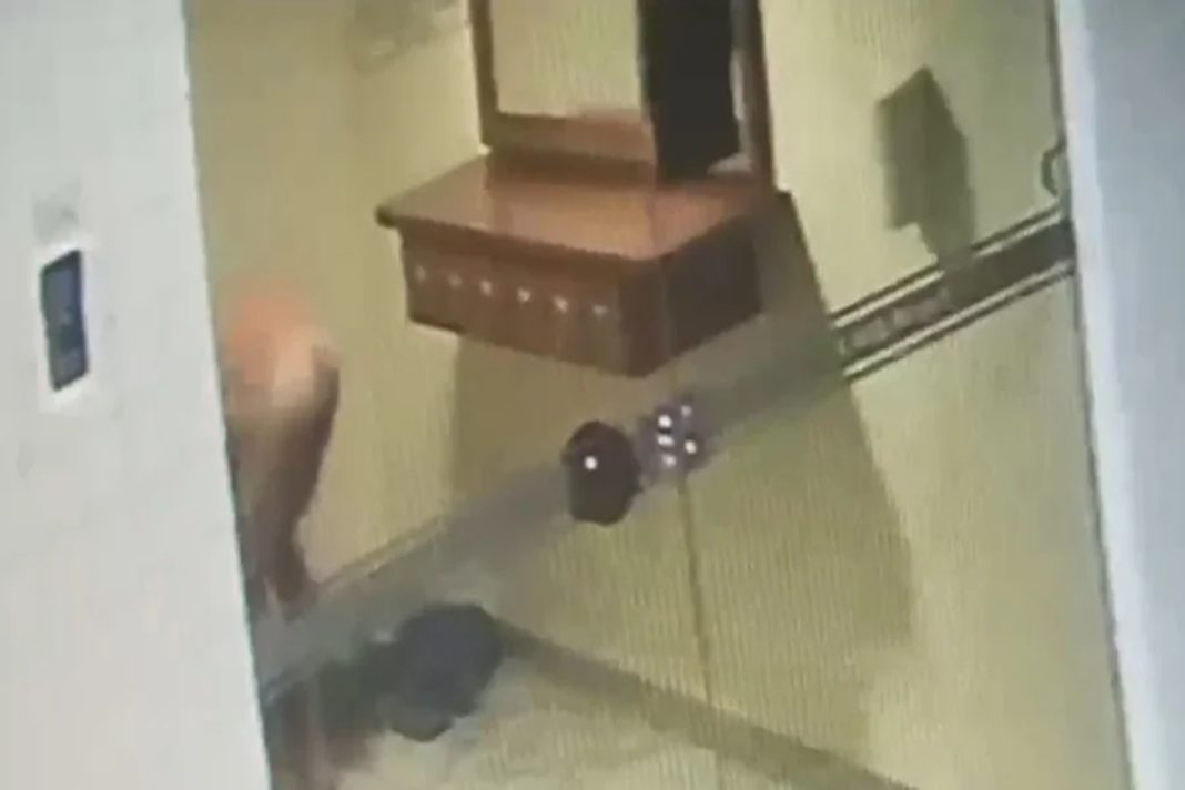 ladrao-que-invadiu-apartamento-e-fugiu-nu-e-detido-e-liberado-apos-depoimento