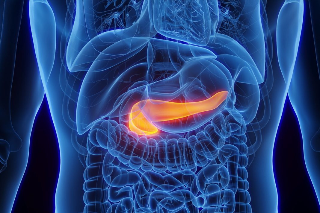 disturbios-metabolicos-podem-estar-ligados-ao-cancer-de-pancreas