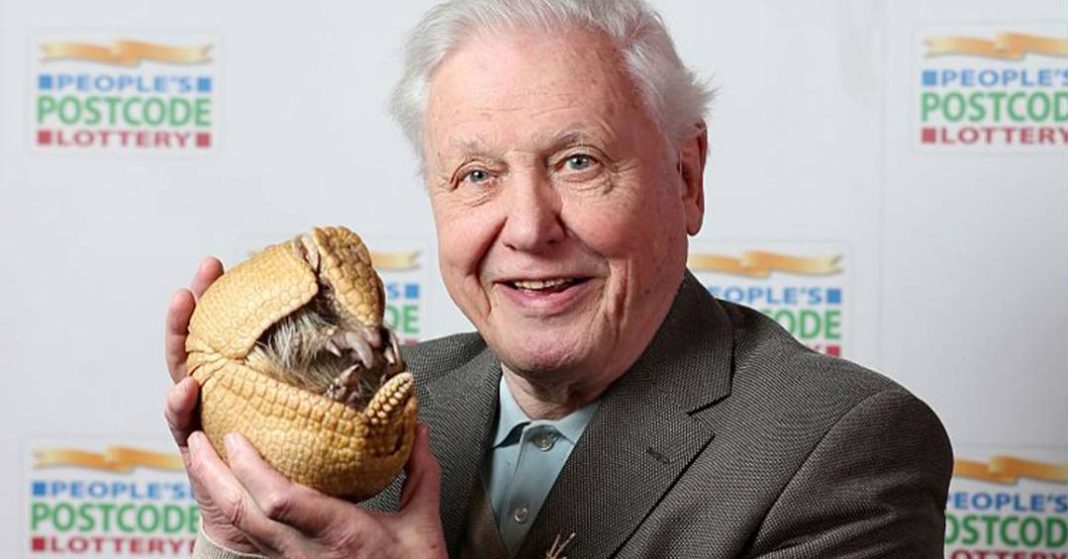 david-attenborough-completa-100-anos:-relembre-trajetoria-do-documentarista-da-natureza