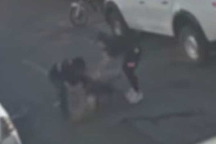 american-bully-foge-de-casa-e-mata-vira-lata-em-ataque-brutal-no-guara.-veja-video