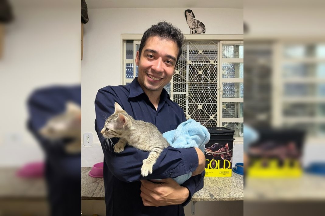 mpdft-pede-aumento-de-pena-de-psicologo-condenado-por-matar-17-gatos