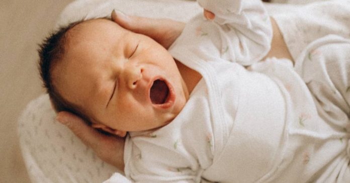 fetos-reproduzem-bocejos-da-mae-ainda-no-utero,-aponta-estudo fetos-reproduzem-bocejos-da-mae-ainda-no-utero,-aponta-estudo