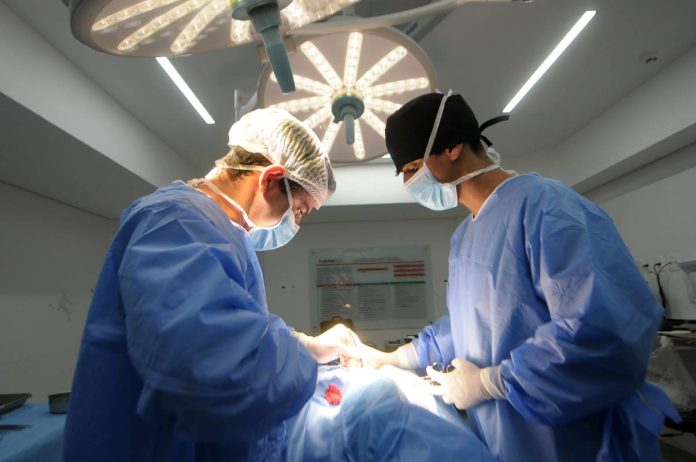 cldf-aprova-tabela-sus-candanga-que-promete-reduzir-filas-em-hospitais cldf-aprova-tabela-sus-candanga-que-promete-reduzir-filas-em-hospitais