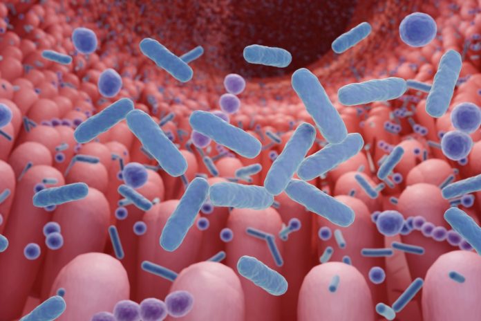 perda-de-microbiota-muda-celulas-que-protegem-o-intestino.-entenda