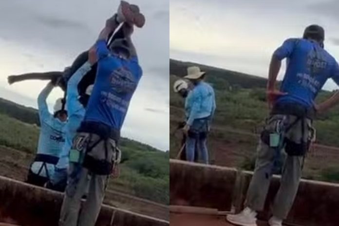 “pesadelo”,-diz-amigo-que-viu-jovem-morrer-ao-ser-lancada-em-rope-jump