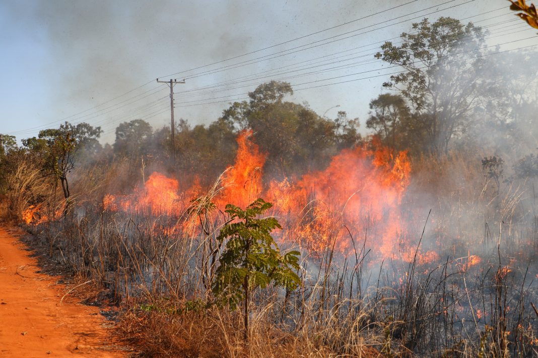 incendio-se-aproxima-de-casa?-saiba-o-que-fazer-e-por-que-tentar-apagar-o-fogo-pode-ser-perigoso