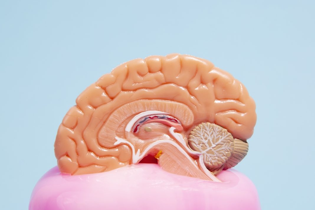 estimulacao-cognitiva-pode-retardar-perda-de-funcoes-no-alzheimer