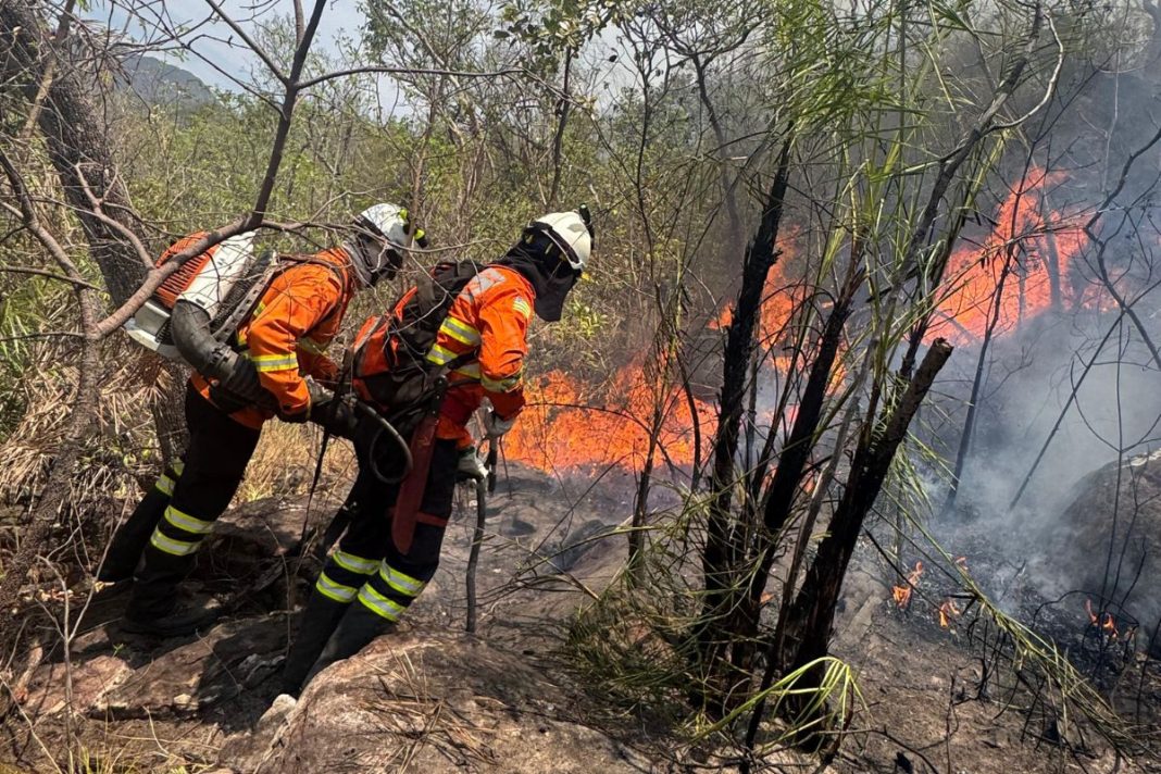 raio-provoca-incendio-em-area-de-dificil-acesso-na-chapada-dos-veadeiros