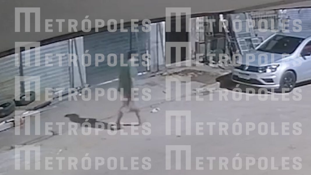 exclusivo:-mae-foi-flagrada-deixando-sacola-com-bebe-em-monte-de-lixo-no-df