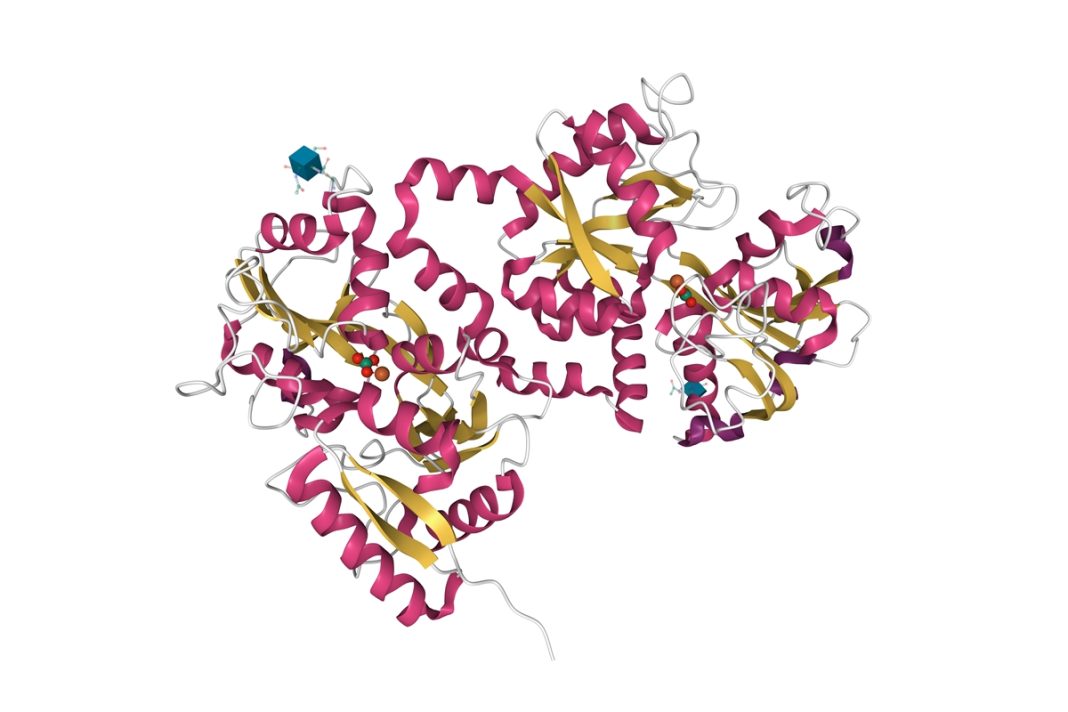 proteina-de-160-milhoes-de-anos-mostra-eficacia-contra-superbacterias