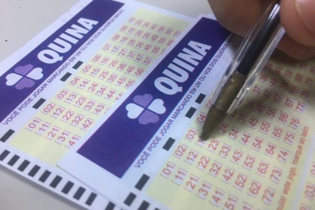 quina-7131-sorteia-r$-13,5-milhoes-nesta-quarta-(30/9).-veja-resultado