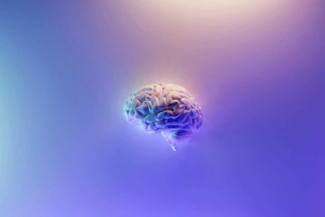 cientistas-conectam-3-minicerebros-e-registram-resposta-a-estimulos