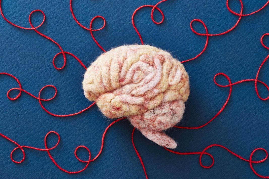 simposio-discute-neurodiversidade-com-foco-em-cuidado-individual