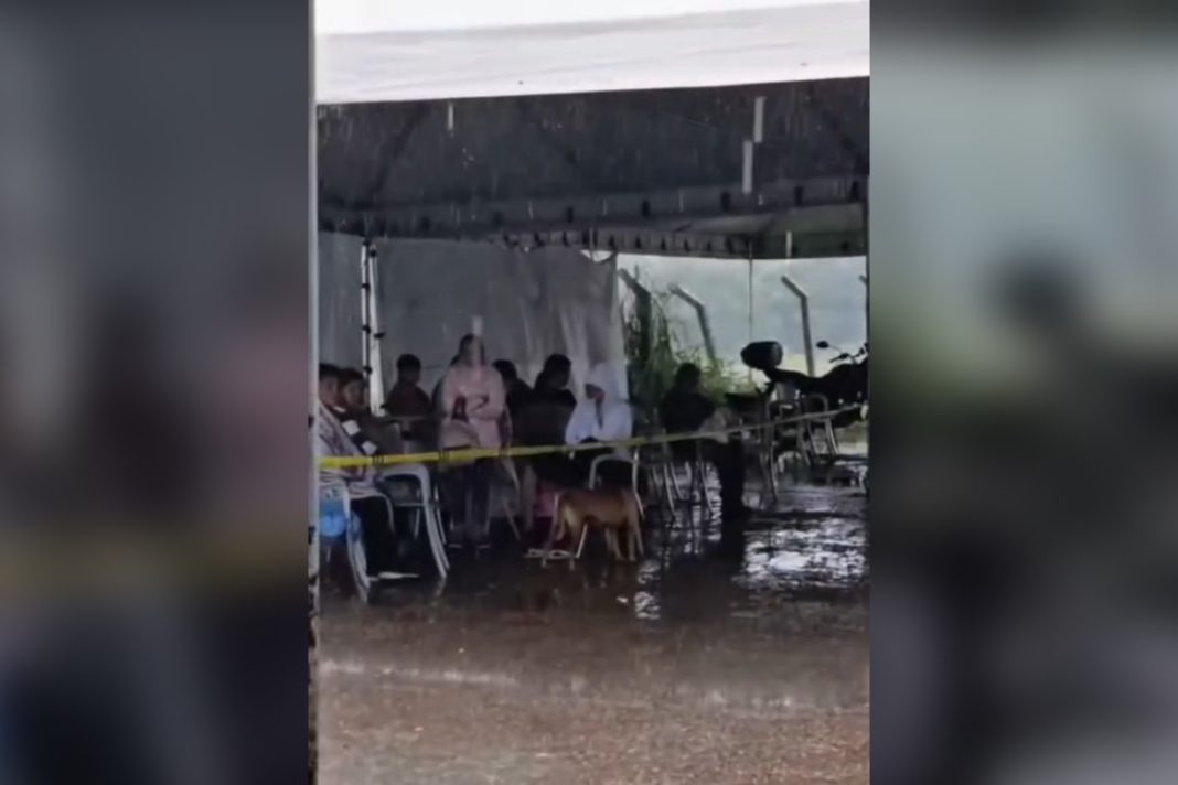 tutores-encaram-temporal-e-aguardam-atendimento-no-hvet-sob-tenda-furada