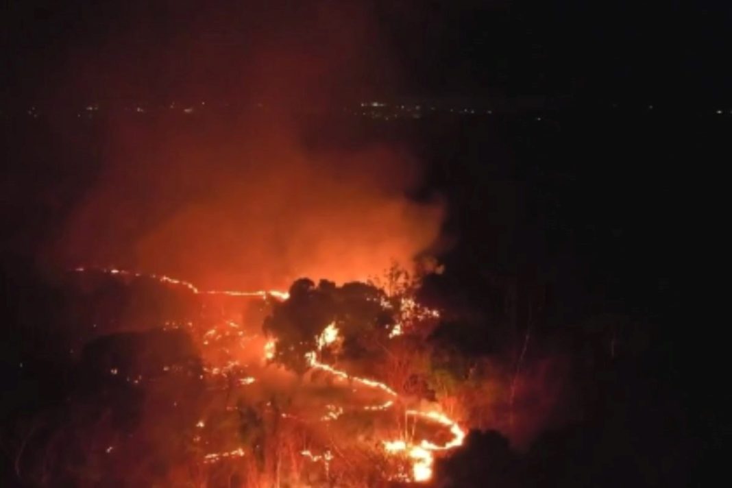 incendio-em-area-da-embrapa-mobiliza-exercito-e-bombeiros-em-teresina-(pi)