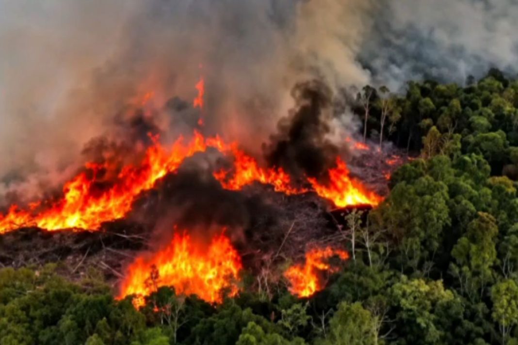 governo-anuncia-envio-de-novos-avioes-para-combater-incendios-no-amazonas