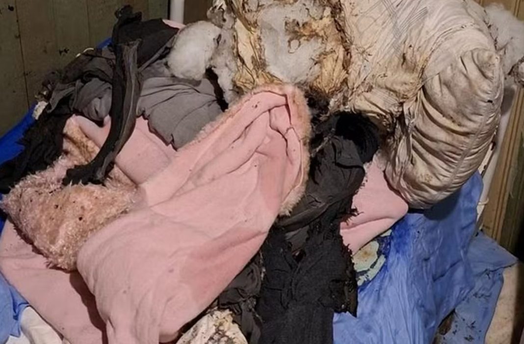 homem-acamado-tem-82%-do-corpo-queimado-apos-ter-a-residencia-invadida