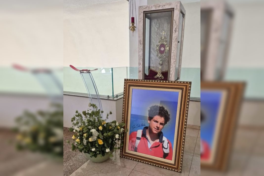 santuario-na-asa-sul-reabre-visitacao-a-reliquia-de-sao-carlo-acutis