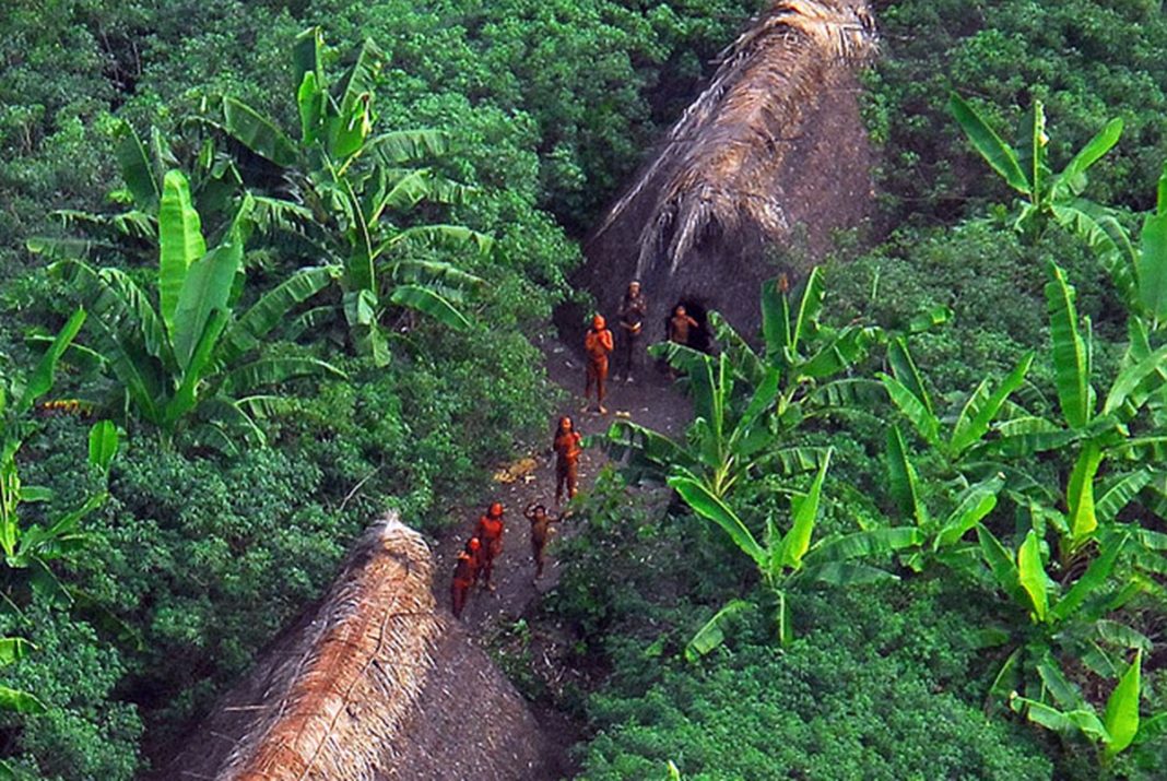 tre-am-nega-transporte-gratuito,-agua-e-comida-a-indigenas-no-2o-turno