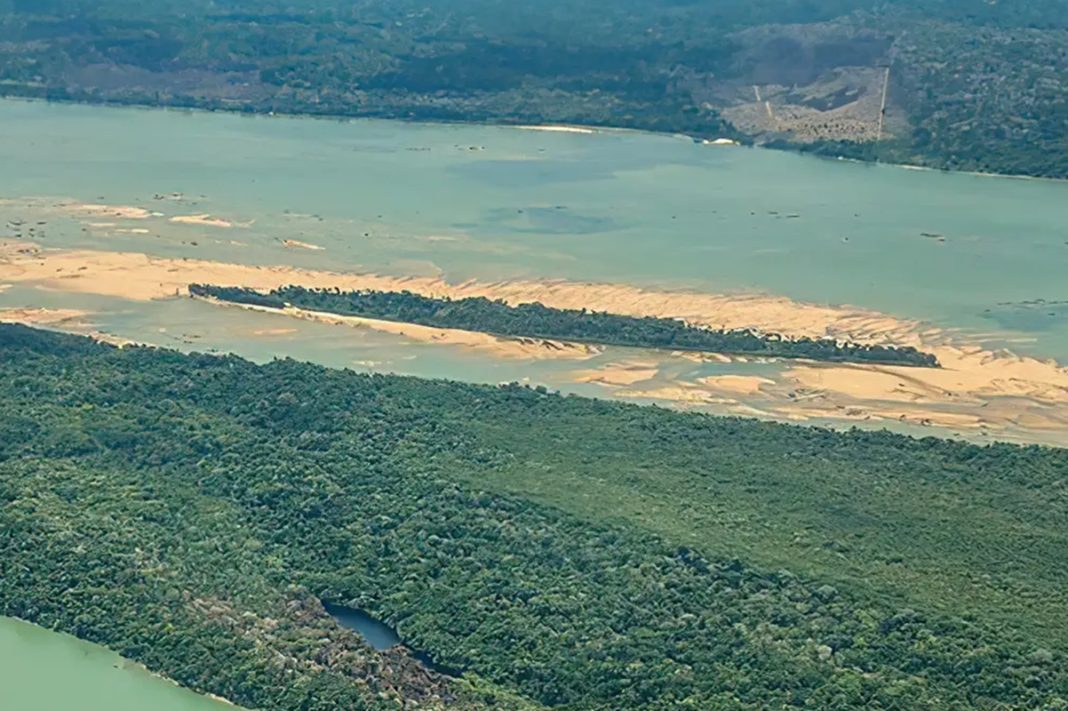 crianca-de-8-anos-e-atacada-por-onca-na-terra-indigena-no-para